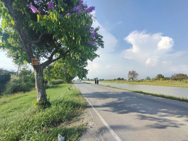 ที่ดินบางใหญ่ริมคลองประปามหาสวัสดิ์ 5ไร่ ยกแปลง