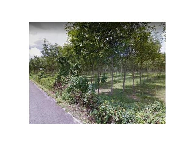 ที่ดิน 22ไร่ เมืองถลาง ภูเก็ต 136.4 ล้าน