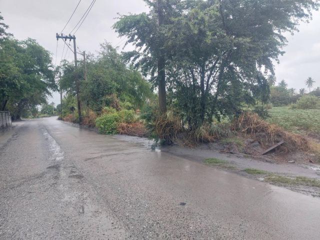 ขายที่ดิน 5-10 ไร่ หนองข้างคอก ใกล้ถนนบายพาส จะเช่าก็ได้