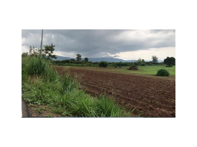 ขายที่ดิน 15 ไร่ ใกล้เขาใหญ่ บ้านบุ่งเตย ต.หมูสี อ.ปากช่อง