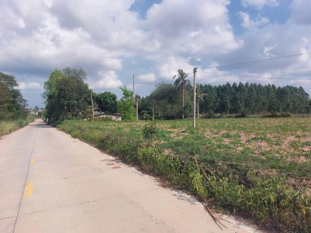ที่ดิน 2 ไร่ บ่อวิน หลังรพ.ปิยะเวชช์ ใกล้ถนน 331