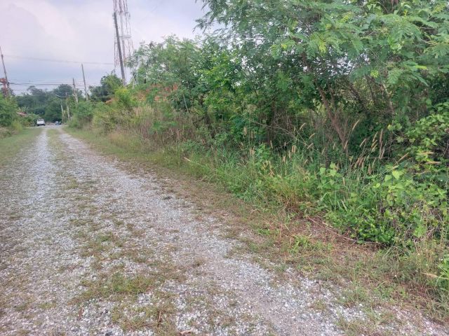 ที่ดิน 60 ตรว.โป่ง บางละมุง ใกล้ถนน 36 ตรงข้ามพีระเซอร์กิต