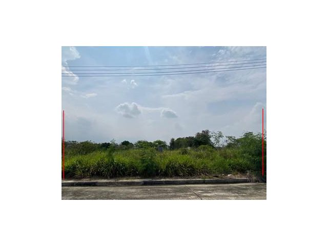 ขายที่ดินเปล่า 1ไร่ ในสนามกอล์ฟ วินด์เซอร์