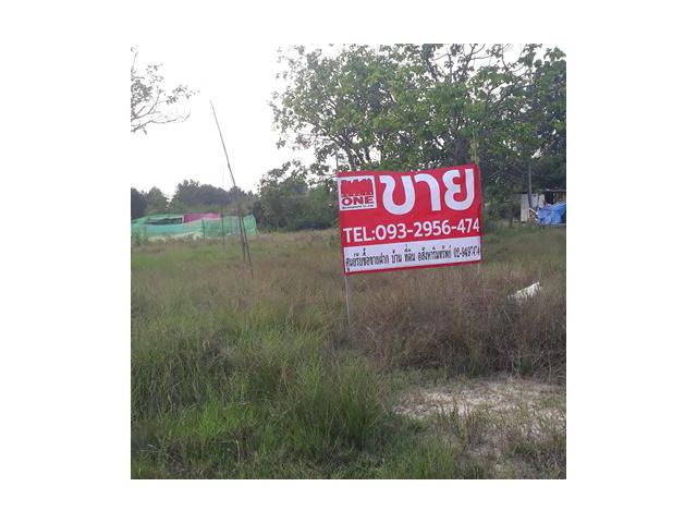 ขายที่ดินเปล่าราคาถูก ซอยบางละมุง 21/7