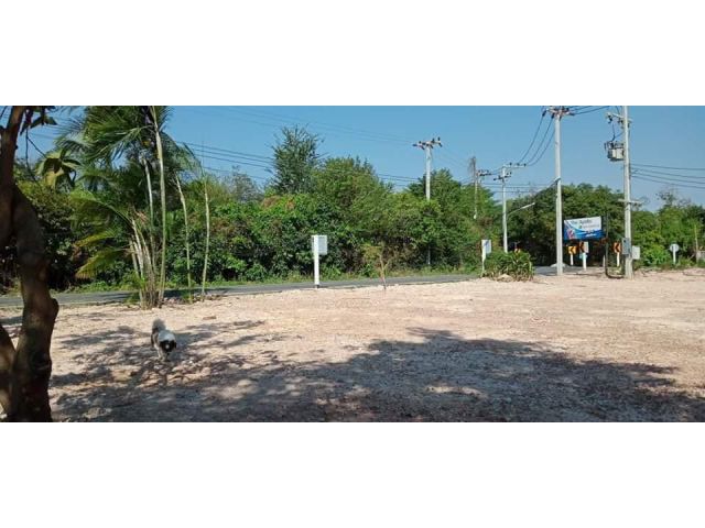 ที่ดินเปล่าติดถนนลาดยางบ้านนิคม-ดงแสนสุข เนื้อที่ 50 ตรว.ถมแล้วพร้อมสร้าง เอกสารโฉนด พร้อมโอน