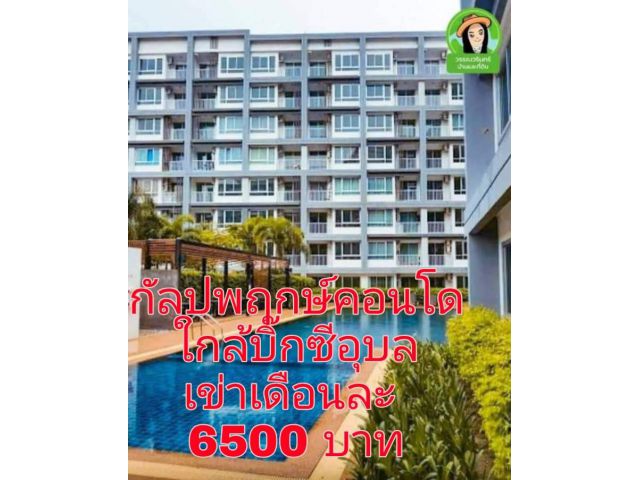 ให้เช่าคอนโดกัลปพฤกษ์. 6,500/เดือน