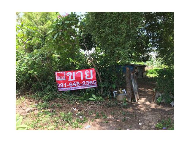 ขายด่วนที่ดินเปล่า หลังเมืองจำลอง พัทยา 1-3-43ไร่