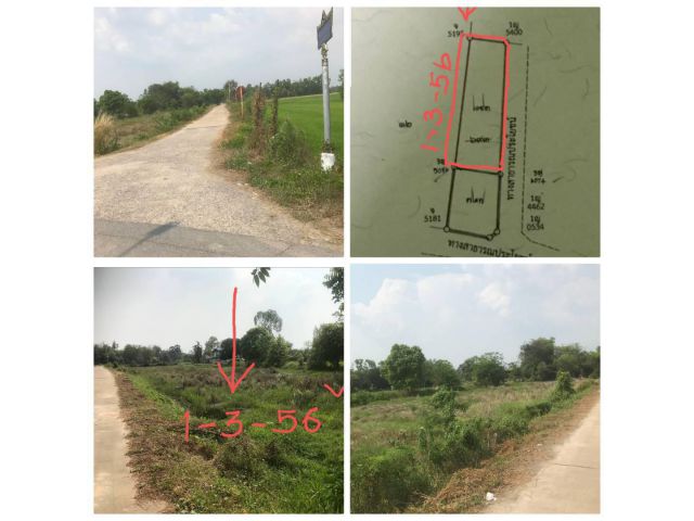 นครนายก 1-3-56 ที่นาติดถนน ใกล้ตัวเมือง