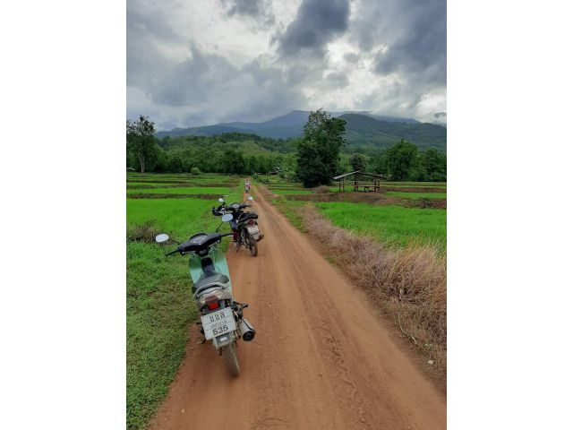 ขายที่ดิน 35ไร่ 42 ตรว. อากาศดี บรรยากาศดี ต.วังบาล  อ.หล่มเก่า