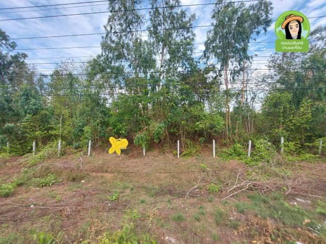 ขายที่ดินแปลงสวยติดถนนอุบล-ตระการ