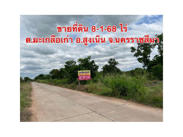 ขายที่ดิน 8 ไร่ ถ.มิตรภาพ กม.114  อ.สูงเนิน ใกล้นิคมอุตสากรรมแหลมทอง