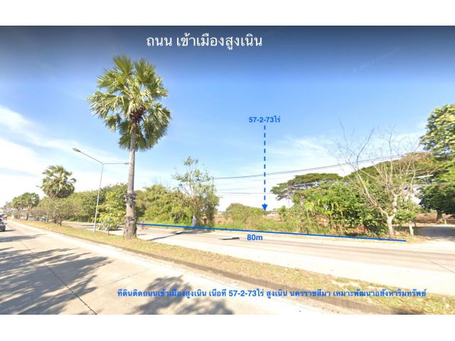 @@ขายที่ดินใจกลางอำเภอสูงเนิน ติดถนนหลัก เนื้อที่ 57-2-73ไร่ ##