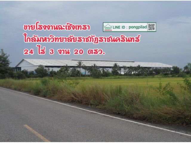 >  ขายโรงงานฉะเชิงเทรา ใกล้ราชภัฏราชนครินทร์ 24 ไร่ 3 งาน 20 ตรว.