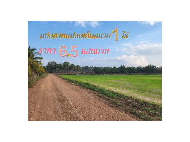 ขาย ที่ดิน โคกหนองนา แบ่งขาย 2ไร่ขึ้นไปทับสะแก 7 ไร่ ที่ดินแปลงนี้ใกล้ทะเลเพียง 2กิโลเมตรเท่านั้น
