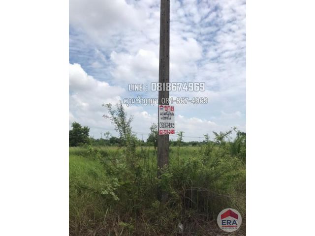 ที่ดิน 2 ไร่ 20 ตรว. ถมแล้ว อ.วังน้อย จ.อยุธยา