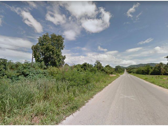ขายที่ดินม่วงลายนิคมพัฒนา 24 ไร่ ติดถ.ลาดยาง ใกล้ถ.เส้น 36 - 3 กม. จ.ระยอง