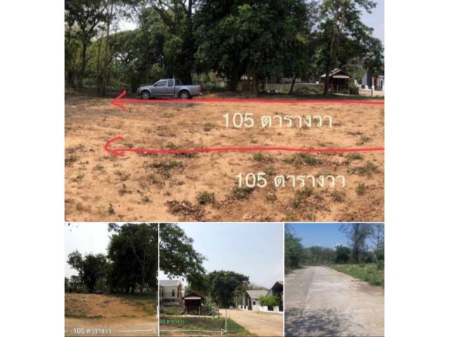 ขายที่ดินดอนแก้ว  อ.แมริมแปลงสวยเห็นวิวดอย ถนนกว้าง8-10 m