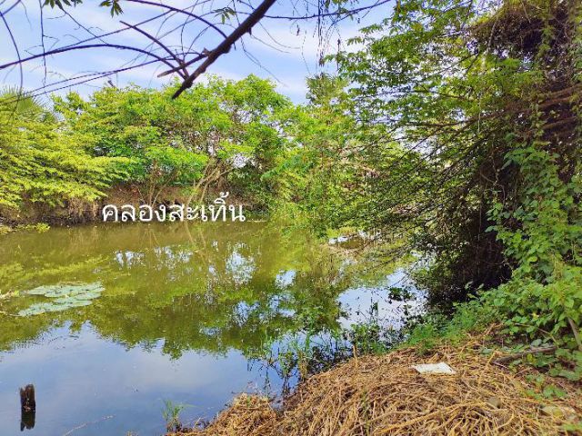 ที่ดินนนทบุรี 115 ตรว.ติดคลองสะเทิ้น แปลงมุมสวย ใกล้ตลาดคุ้มทรัพย์ 900ม. (ยังไม่ถม)