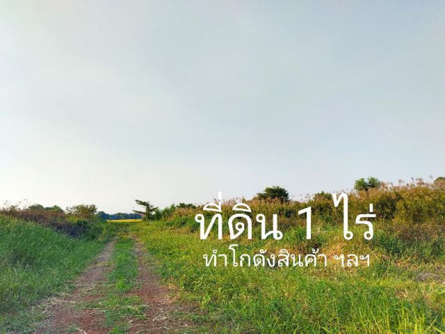 ที่ดิน 1 ไร่ หน้ากว้าง 40 เมตร ลึก 40 เมตร เข้าซอย50ม.ถึงที่จากถนนหลัก เหมาะทำโกดังสินค้า สวน บ้าน ฯลฯ