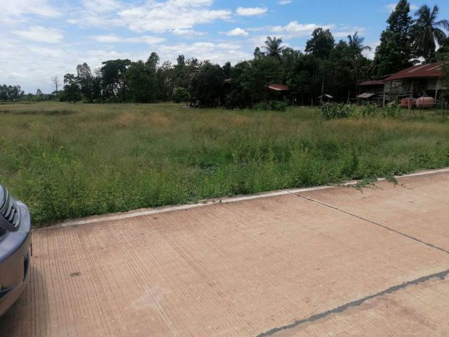 ขายที่ดิน 8ไร่ ติดถนนคอนกรีต น้ำไฟถึง ถนนเส้นสี่แยกประโดก บ้านป่า เมืองพิษณุโลก โทร 098 914 4208