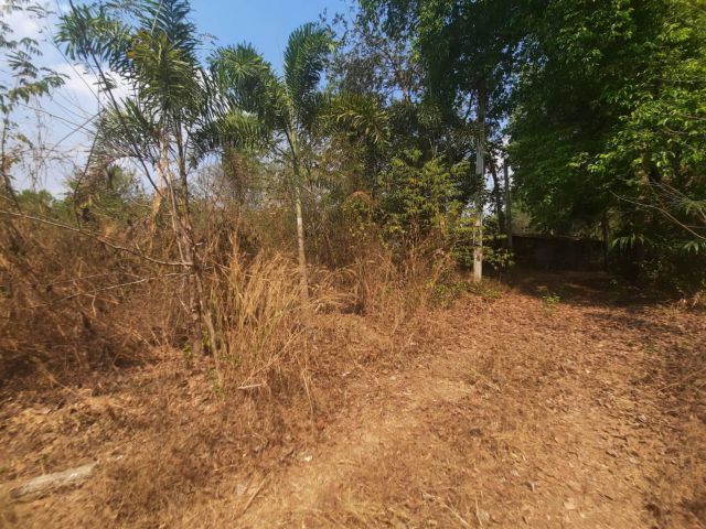 ขายที่ดิน 97.7 ตรว. ยกแปลง 200,000 บาท ใกล้ถนน 3003 - 80 เมตร จ.ฉะเชิงเทรา