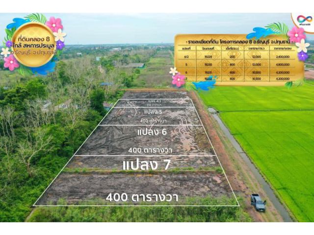 ขายที่ดิน หลังตลาดคลอง 8 ใกล้สหการประมูล  คลอง 8