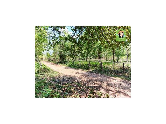 ที่ดินเปล่าบ้านท่าเมือง อ.ดอนมดแดง