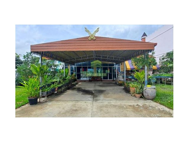 ขายบ้านเดี่ยวซอยวัดศรีวารีน้อย หนองปรือ บางพลี สมุทรปราการ เนื้อที่ 100 ตร.ว ทำเลดี ราคาต่อรองได้