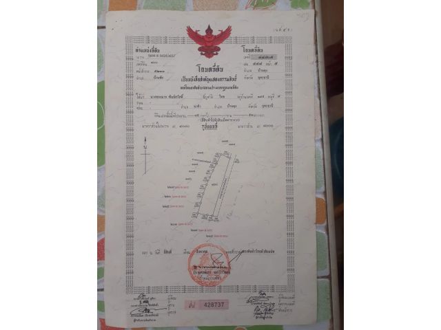 ขายที่ดิน 45 ไร่ นส.4 ไร่ละ 180,000 บ.
