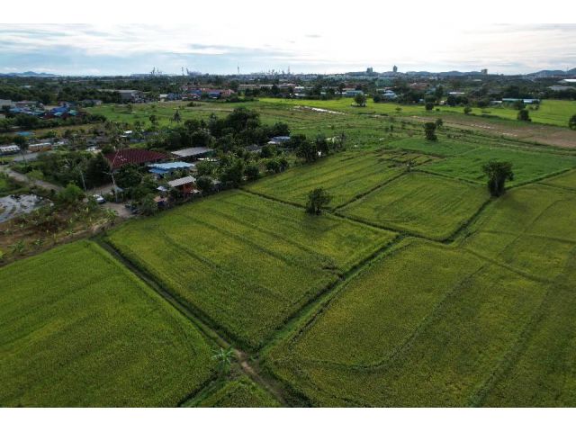 ขายที่นาศรีราชา 4 ไร่ หลังเครือสหพัฒน์ ติดถ.คอนกรีต ใกล้ท่าเรือแหลมฉบัง - 8 กม. จ.ชลบุรี
