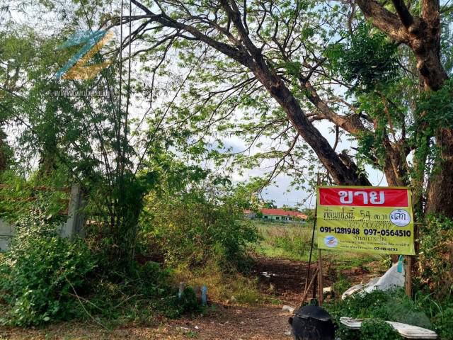 ขายที่ดิน 54 ตร.วา กว้าง 11  เมตร  ลึก 19.5 เมตร ต.เชียงพิณ  อ.เมือง  จ.อุดรธานี