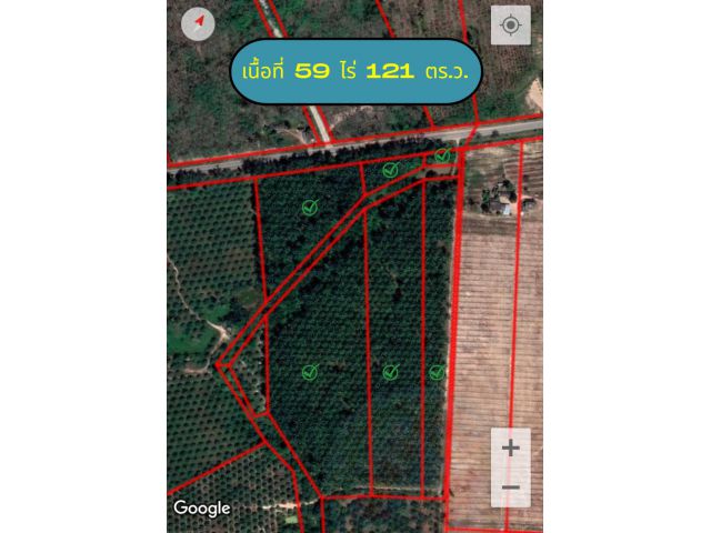 ขายที่ดินสวนปาล์ม เนื้อที่ 59 ไร่ 121 ตร.ว. ต.ปากฉลุย อ.ท่าฉาง จ.สุราษฎร์ธานี