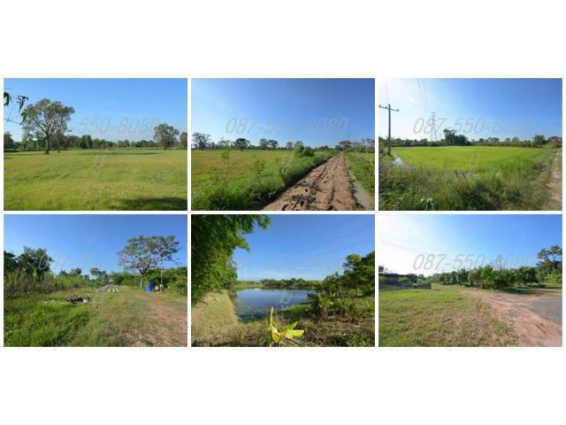 ขายด่วน! ที่ดินแแปลงสวย ราคาถูก อำเภอเมืองสุรินทร์ เหมาะทำจัดสรรที่ดิน หรือหมู่บ้านจัดสรร