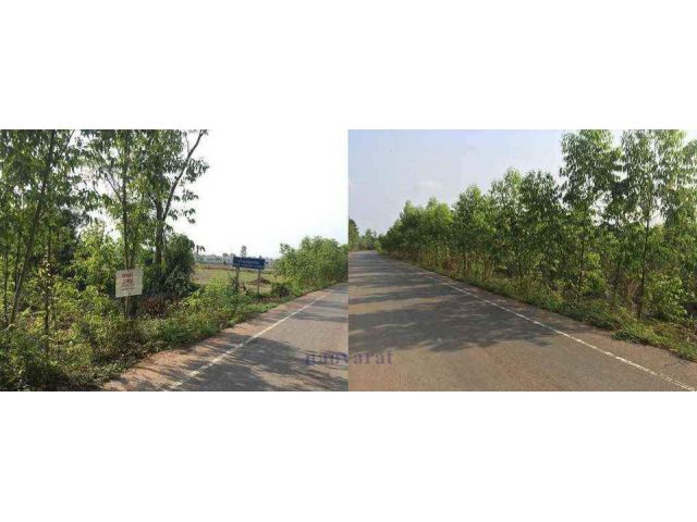 ขายที่ดิน 21 ไร่ ยกแปลง ตำบลหัวหว้า ใกล้สวนสัตว์ซาฟารีเวิลด์ ใกล้นิคมอุตสาหกรรมโรจนะ (ปราจีนบุรี)