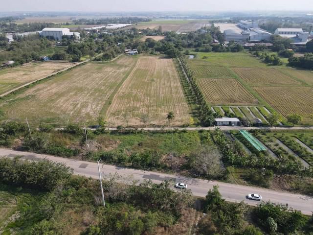 ขายที่ดิน 12-1-56 ไร่ ติดถนน บางน้ำเปรี้ยว