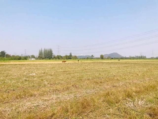 ที่ดินราชบุรี​ เนื้อที่ 1 ไร่เศษ​ ติดถนน