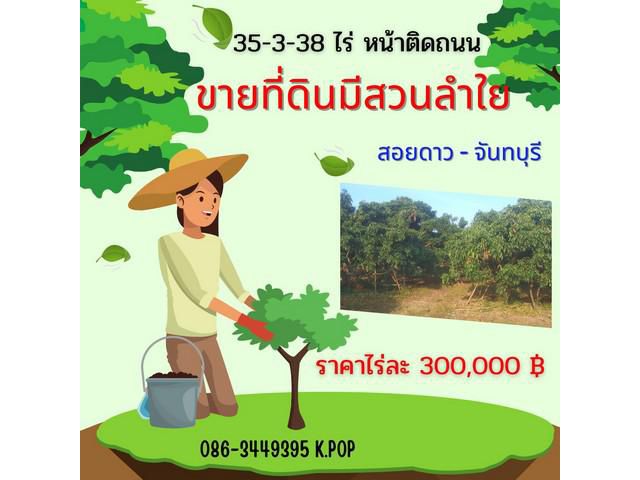 ขายที่ดินพร้อมต้นลำใย 20 ต้นสอยดาว