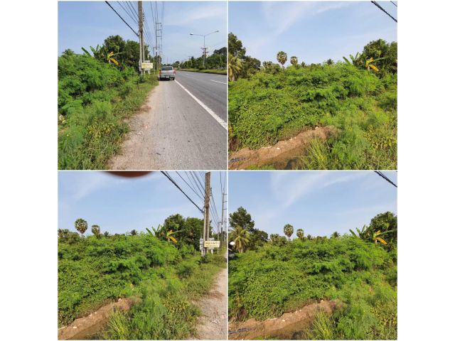 ขายที่ดินสทิ้งพระติดถนนใหญ่เส้นหลัก 408