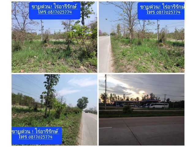 ขายด่วน! ที่ดินติดถนนซุปเปอร์ เชียงใหม่ ลำปาง (เจ้าของขายเอง) ขายด่วนก่อนจะขึ้นราคา