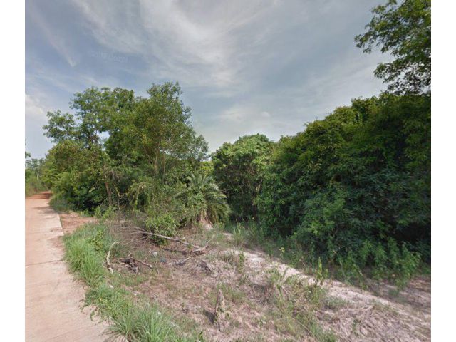 ขายที่ดินหนองแหน 20 ไร่ ติดถนนคอนกรีตใกล้ถนน 331 - 3 กม. อ.พนมสารคาม จ.ฉะเชิงเทรา