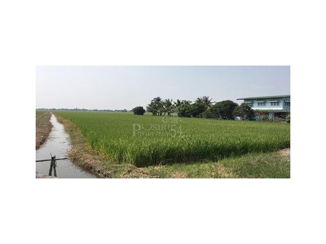 ขายที่ พื้นที่ 14 ไร่เศษ ราคาโปรโมชั่น ติดถนนเลียบคลอง 4 ฝั่งตะวันออก ใกล้โรงเรียนวัดมงคลพุการาม – ขายที่ปทุมธานี