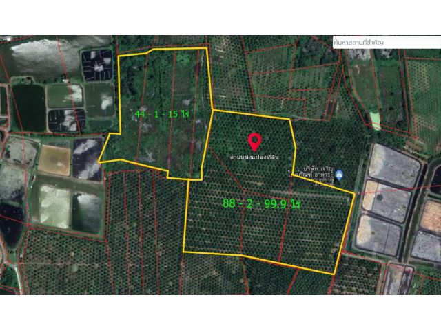 ขายที่ดินสวนปาล์มเนื้อที่ 133 – 0 – 14.9 ไร่ ราคาไร่ละ 250,000 บาท ต่อรองได้ แบ่งขายได้ พิกัด ตำบลท่าทอง อำเภอกาญจนดิษฐ์