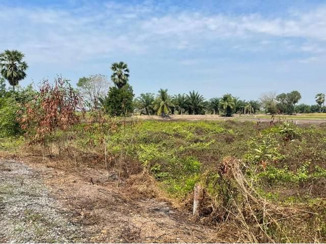 ที่ดินคลอง 12 เนื้อที่ 5 ไร่ 154 ตร.ว.