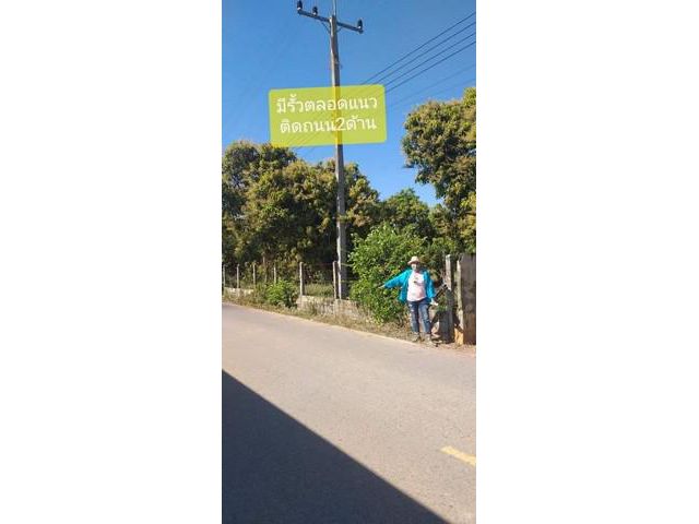 ที่ดินเนื้อที่ 6 ไร่บ่อน้ำ1ไร่พร้อมสวนผลไม้ ชลบุรี