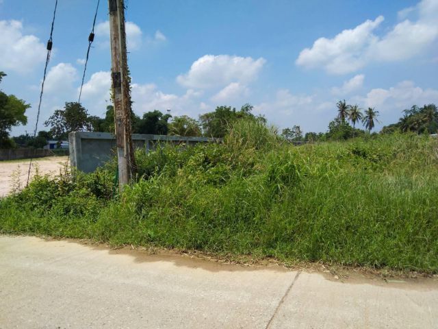 ขายที่ดินทุ่งขวาง 8 ไร่ ติดถนนคอนกรีต ใกล้ถนนเส้นอบต.ทุ่งขวาง - 750 เมตร พนัสนิคม ชลบุรี