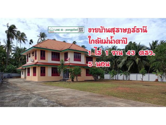 > ขายบ้านสุราษฎร์ธานี ใกล้แม่น้ำตาปี 1 ไร่ 1 งาน 43 ตรว. 5 นอน