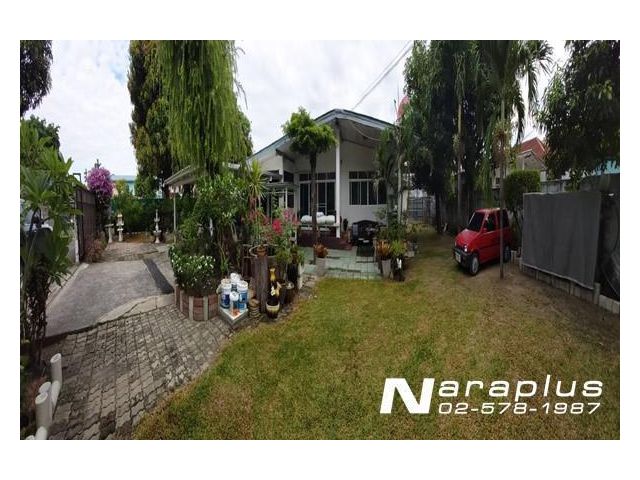 listing: No.65040300 : ขายบ้านเดี่ยว 1 ชั้น ซอยลาดปลาเค้า 5 ใกล้สี่แยกวังหินและถนนเสนานิคม