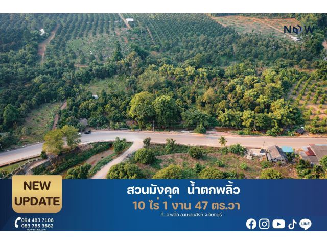 ที่ดินสวนทุเรียนน้ำตกพลิ้ว 2 แปลง พื้นที่รวม 10 ไร่ 1 งาน 47 ตารางวา
