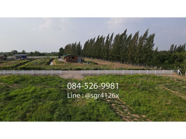 ที่ดินจอมบึงใกล้ลาดยาง 600 เมตร ไร่ละ 4แสนกว่า