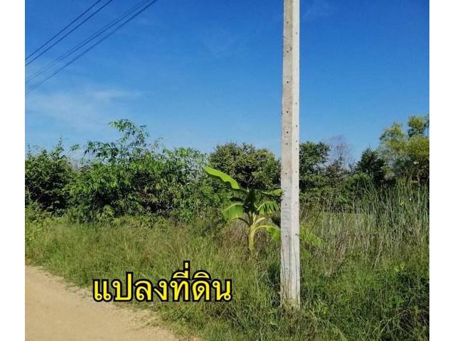 ขายที่ดินสวยราคาไม่แพง ใกล้วัดประยงค์กิตติวนาราม